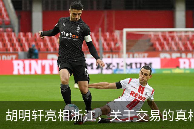 胡明轩亮相浙江，关于交易的真相揭秘
