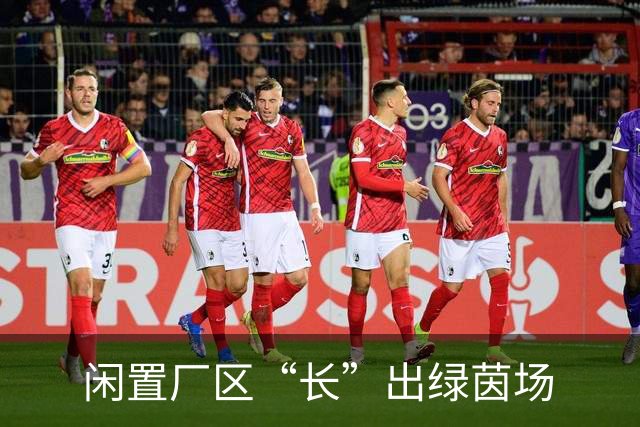 闲置厂区“长”出绿茵场